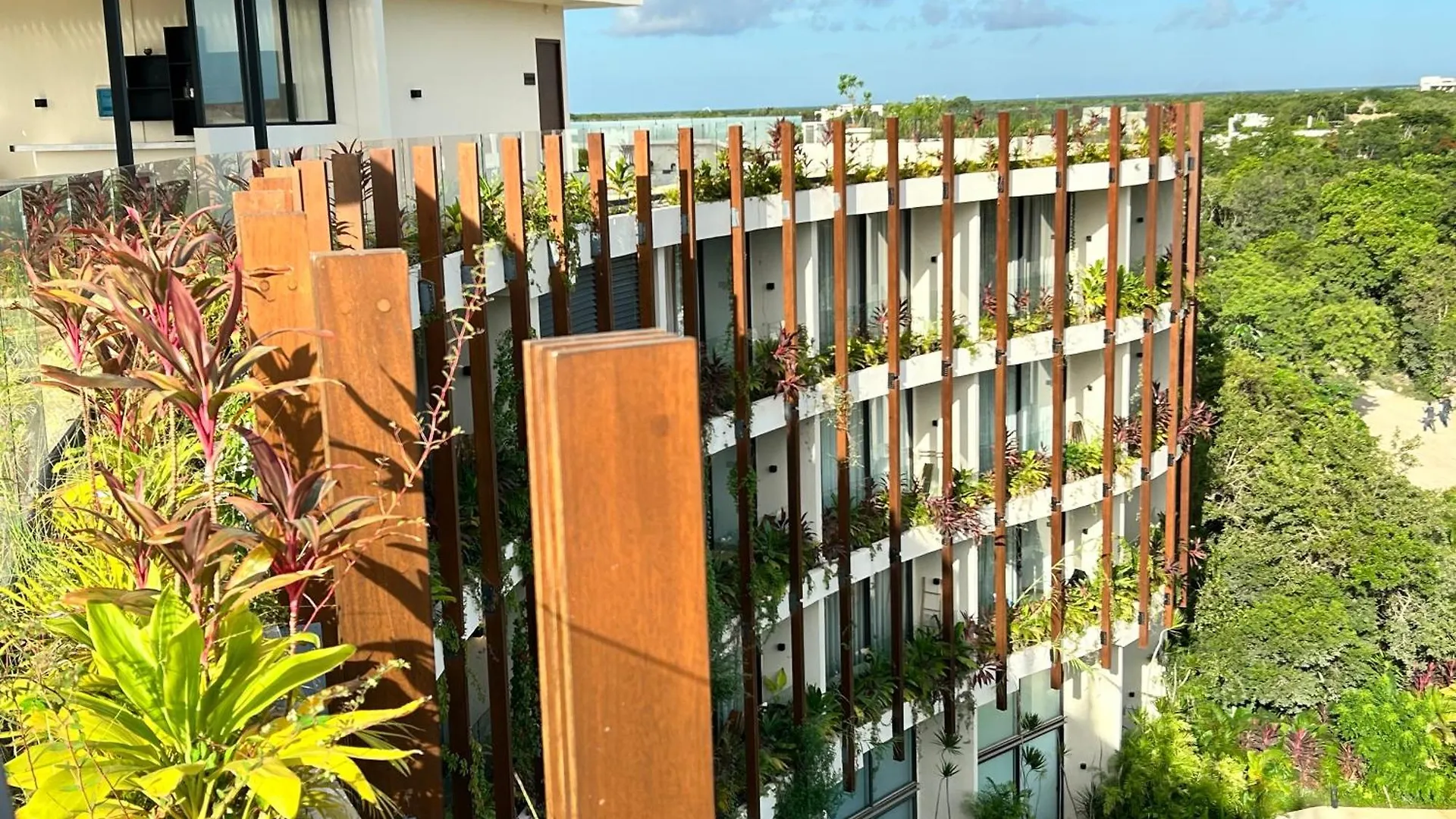 Tulum Playa, Zona Hotelera, Beach Club Mexico